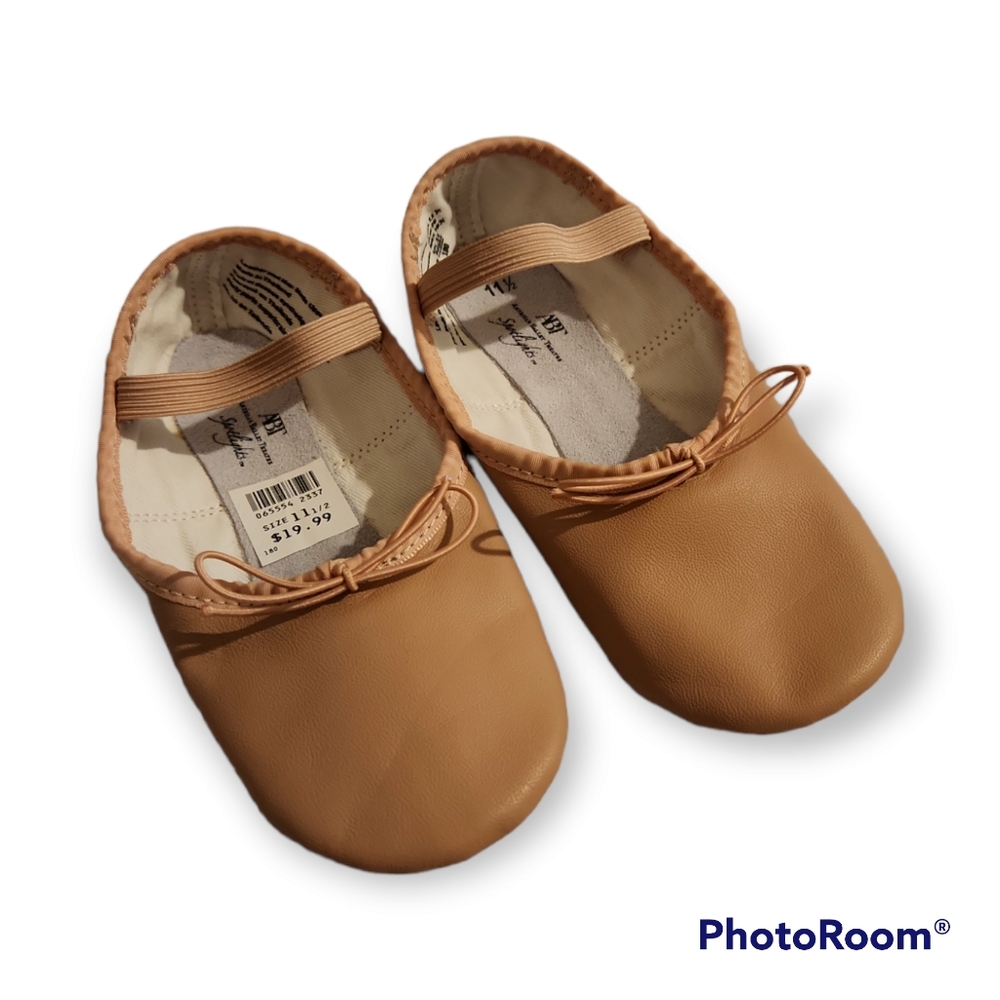 ABT Pink Ballet Shoes